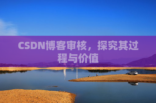 CSDN博客审核，探究其过程与价值